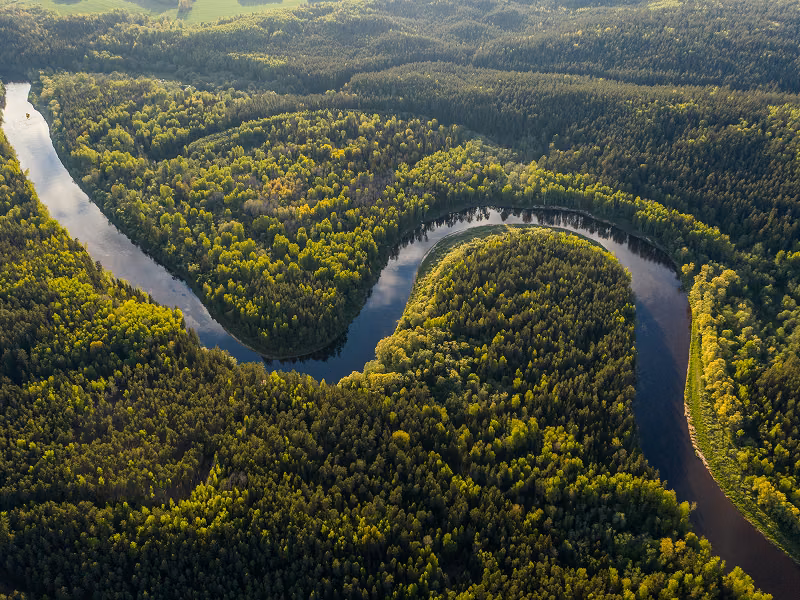 Rio serpenteando pela floresta amazônica preservada no projeto Envira Amazônia